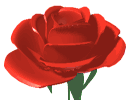 animatedaopi.gif
