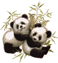 animatedaopi.gif